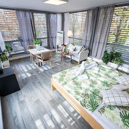 チェスケー・ブジェヨヴィツェ Atelier Lanna Bed & Breakfast エクステリア 写真